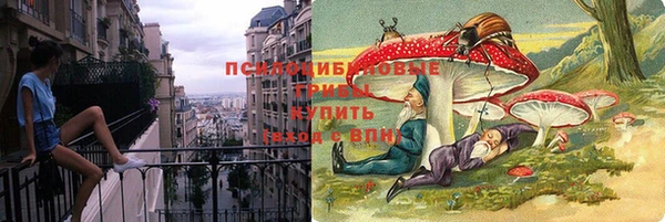 spice Михайловка