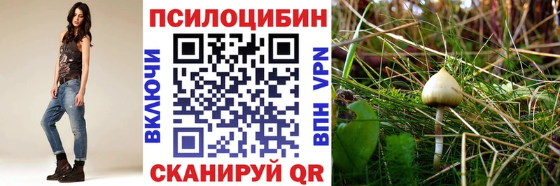Псилоцибиновые грибы GOLDEN TEACHER  купить наркотики сайты  Отрадное 