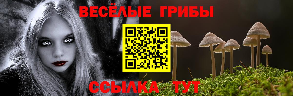 Галлюциногенные грибы мицелий  цены наркотик  Отрадное  Псилоцибиновые грибы MAGIC MUSHROOMS  Вход с VPN 